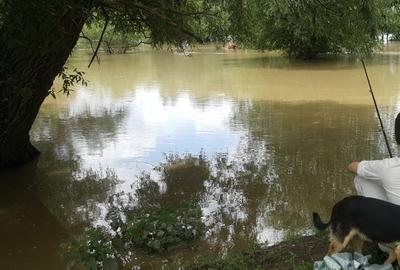 Apartament cu 3 camere de vanzare, etaj 2, - Micalaca - 11