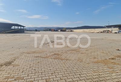 Spatiu industrial de inchiriat in Sebes judetul Alba - 2