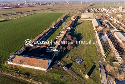 Teren 1.15 HA lângă Autostrada – Nădlac | clădiri+utilități - 5