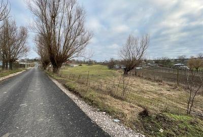 Teren de vanzare in Frecatei Tulcea - 10