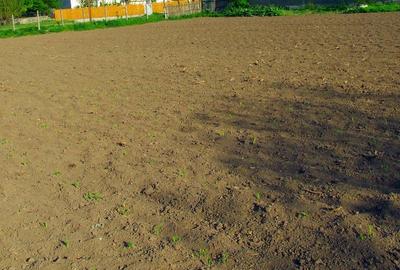 Conac boieresc - 5 camere - Nicolae Balcescu - 105.000 euro (Cod E11) - 12