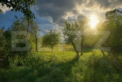 Casa traditionala din piatra, modernizata, la doar 22 km de Cluj-Napoca - 3