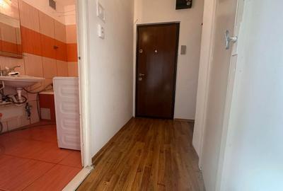 Girocului | 1 Camera | Etaj intermediar | Mobilat si utilat - 11