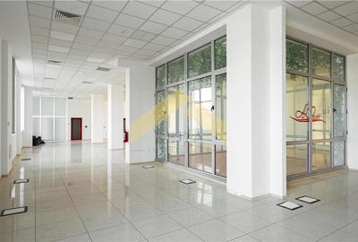 Cladire multifunctionala D+P+2E zona Aeroport de vanzare - 8