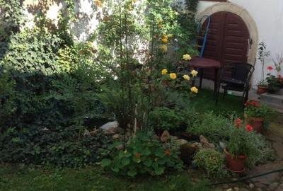 ULTRACENTRAL! Apartamet la Casa + gradina - 1