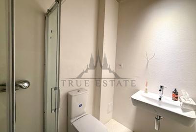 Unic Apartament in vila noua cu parcare acoperita si terase in zona Dorobanti - 10