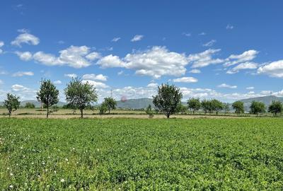 Teren intravilan Zona Metropolitana Brasov - 11