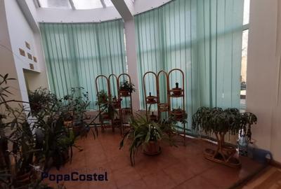 Breaza de Sus vila 487 mp utili S+P+1E+M cu teren 6258 mp - 11