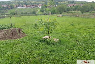 Teren intravilan de vanzare in Henig - 1