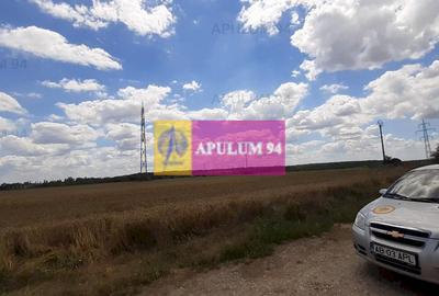 Teren 715mp în Snagov lângă Equestria - 9
