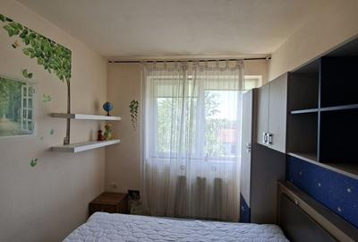 Apartament 3 camere la 10 minute de Timișoara - 6
