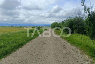 Teren agricol extravilan de 5000 mp, în Șura Mică