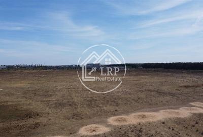 Teren Voluntari-Pipera | 3.700mp | Zonă Pădure & Școli Internaționale - 4