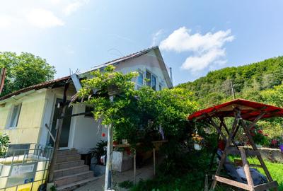 Casă  cu 10 camere in 2 corpuri de cladire (se pot vinde separat) - 33