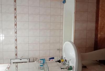 Sincai-strada Trestiana-apartament 4 camere - 8