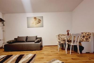 Dristor - Aleea Moreni - Garsoniera mobilata , bloc mixt - 2