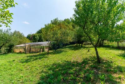 Casă  cu 10 camere in 2 corpuri de cladire (se pot vinde separat) - 40