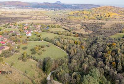 Teren intravilan în Zărnești, zona Tohanita, cu pădurice și parau curg - 3