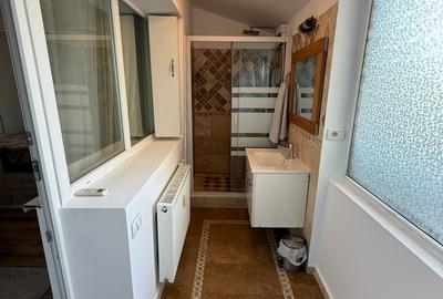 Apartament 3 camere cu terasa mare si vedere la parcul Tei - 10