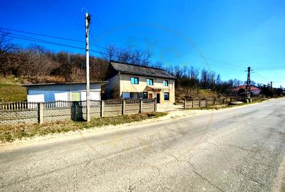Casă cu teren generos în Dârmănești, Argeș-ideală pentru locuința sau afacere - 13