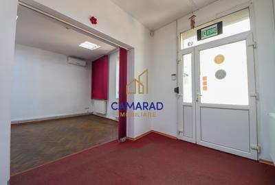 Vila de închiriat - Rezidențial/Birouri/Comercial -curte proprie - Tei - Lizeanu - 5