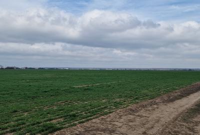 Loturi teren  construibil - 15