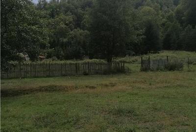 Teren intravilan - Berevoiesti - Arges - 2