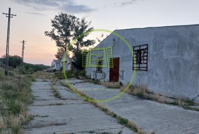 Spațiu industrial, de 7,000.00 mp, în Pielești