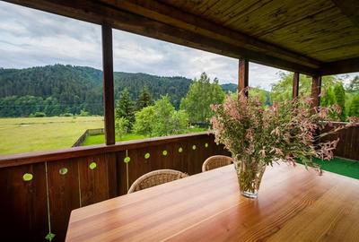 De vanzare casa de vacanta/locuit  in Lunca Bradului - 16