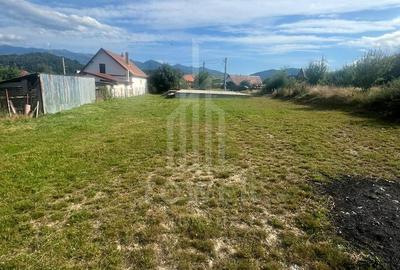 Teren de vânzare în exclusivitate – Tălmaciu - 6