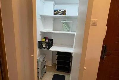 Apartament superb Jiului - 8