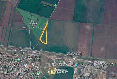 Teren agricol de vanzare Vladimirescu, Arad - 2