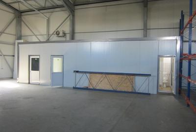 ZONA EST - Theodor Pallady - DRUMUL INTRE TARLALE - A2 - 5