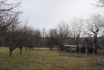 Teren intravilan Breaza oportunitate investitie - 4