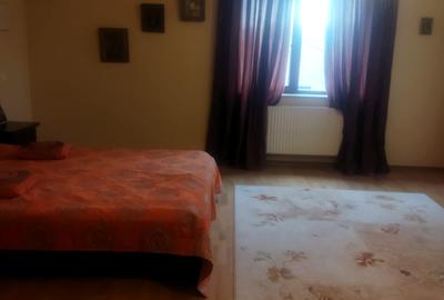Vila Bucium cod 156392 - 17