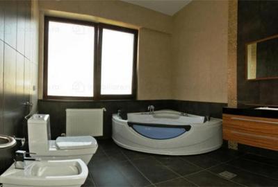 Baneasa-lac, vila lux, p 2E, 350 mp - 14