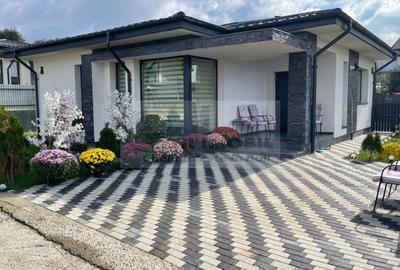 Casă individuală cu 3 camere în Vișan