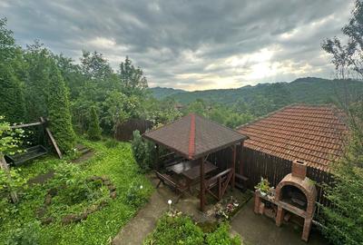 Casa vânzare comuna Bozioru munții Buzăului - 8