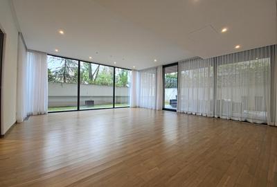 Apartament cu gradina Primaverii - 2