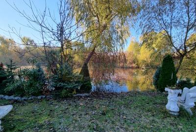 Cea mai frumoasă casă din zona Pipera - Băneasa - 55