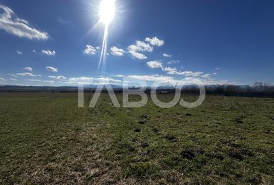 Teren agricol extravilan de 2200 mp, în Turnișor