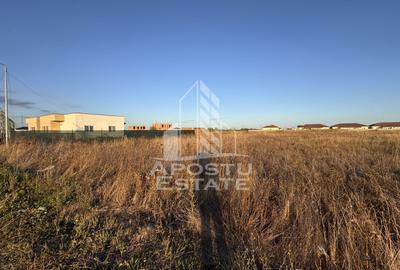 Teren Construcții intravilan de 706 mp, în Moșnița Nouă