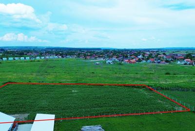 Teren pentru investitii industriale front stradal generos, Salard, aproape de A3 - 1