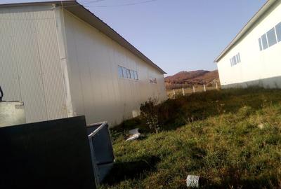 Hala industriala productie-depozitare - 2