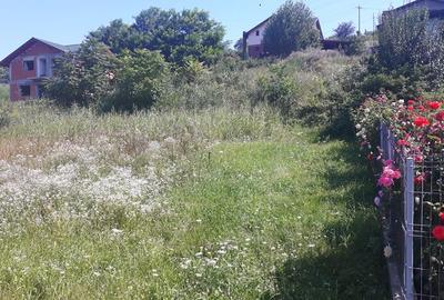 Loc de casa Bucovina - Curtesti - 1