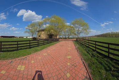 Fermă Zootehnică de Vânzare 6 Ha | Vaci și Oi | Grajd si Saivane | Calugareni | - 1