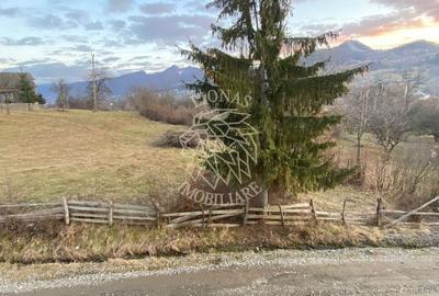 Casa 220 mp-teren 4000 mp-ideal Pensiune-garaj-Bistrita Bargaului - 7