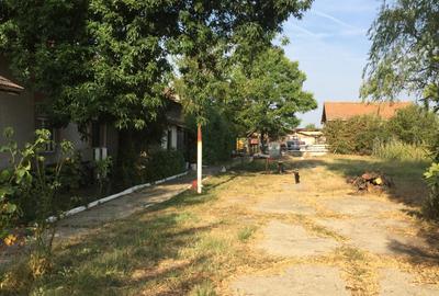 De Vânzare – Fermă de Pomi Fructiferi, 48,8 ha, Iancu Jianu, Jud. Olt - 3