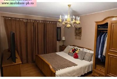 Casa de vanzare:Malu Rosu(compusa din 2 imobile separate in aceasi curte) - 4