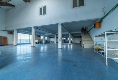 Spațiu industrial, de 2,000.00 mp, în Biharia